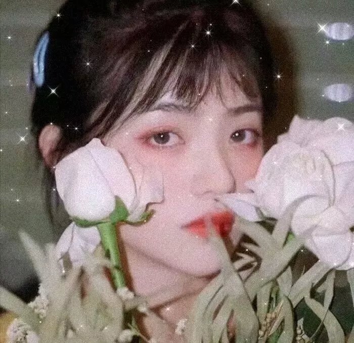 公子贵姓